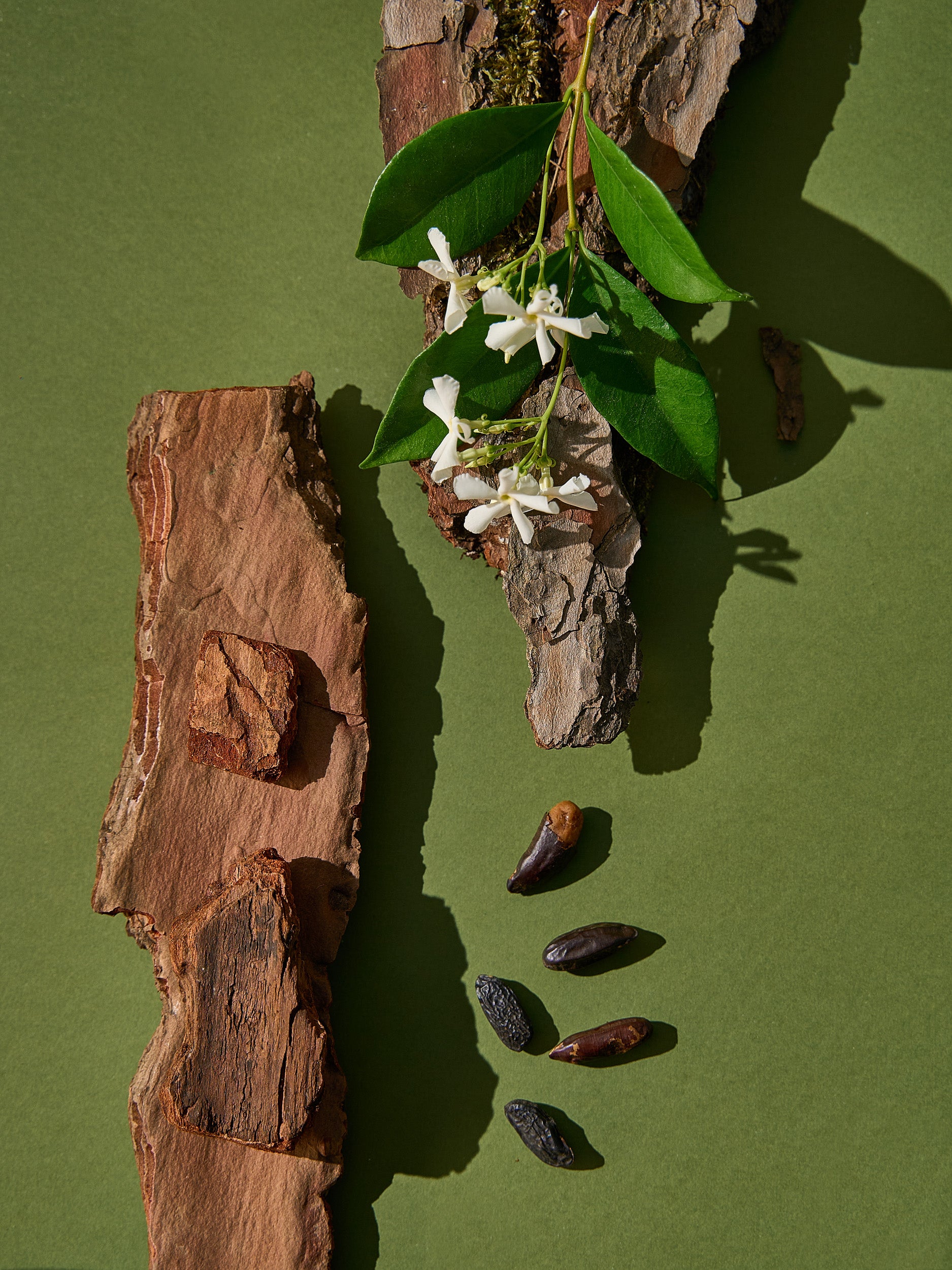 Madera de Oud y Jazmín Dulce