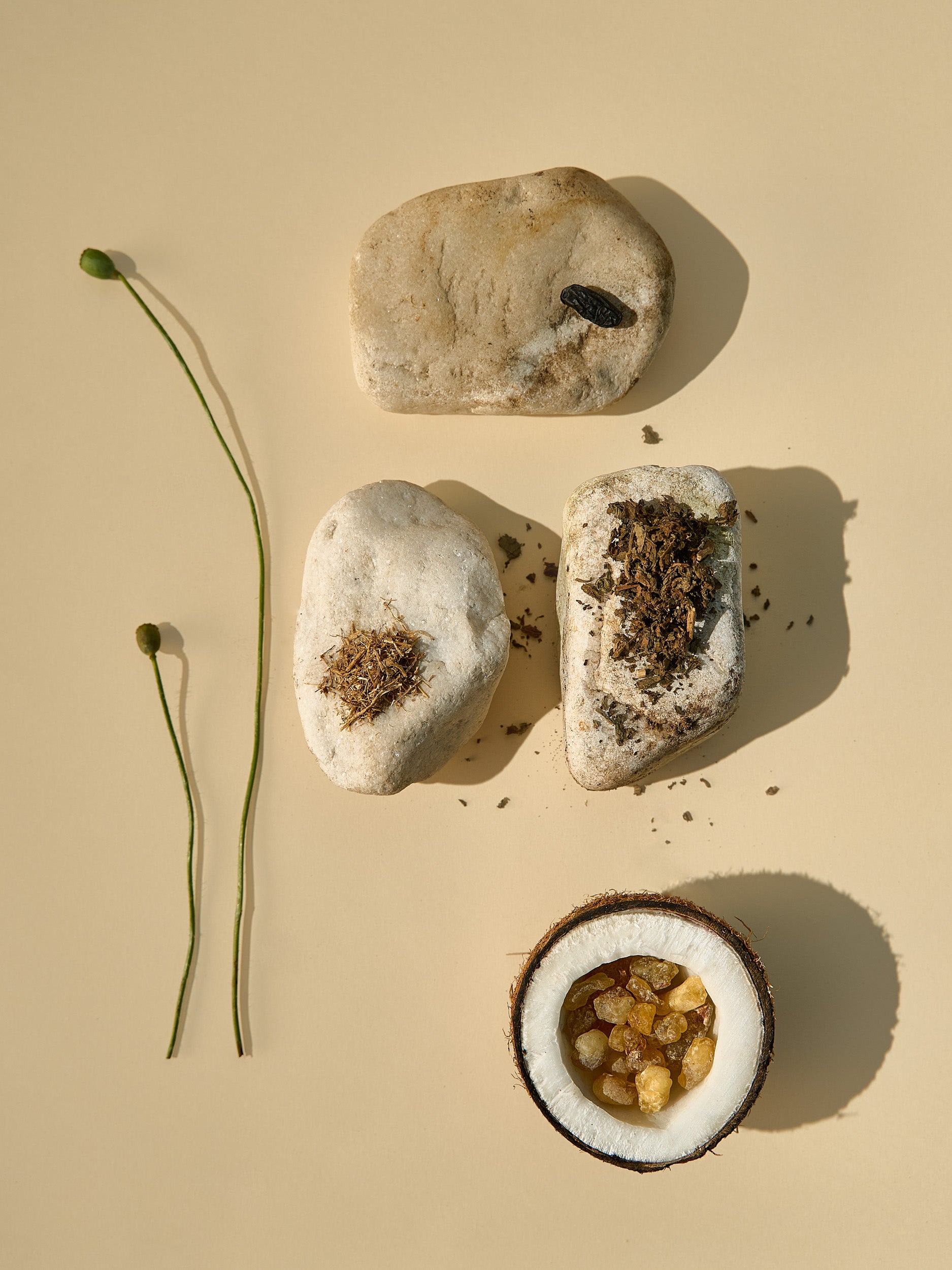 Pachulí y Vetiver
