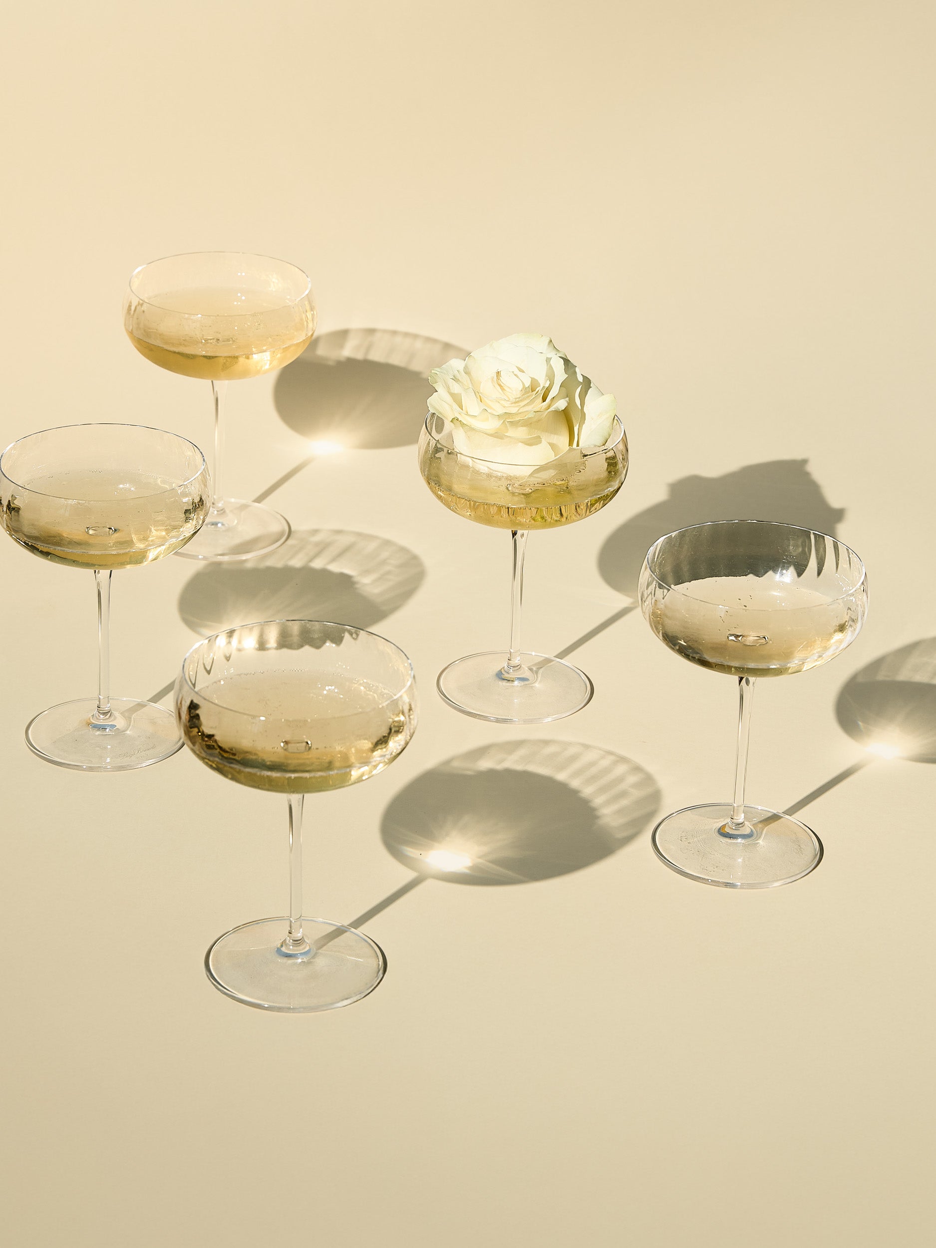 Rose & Champagne Fragrance Oil