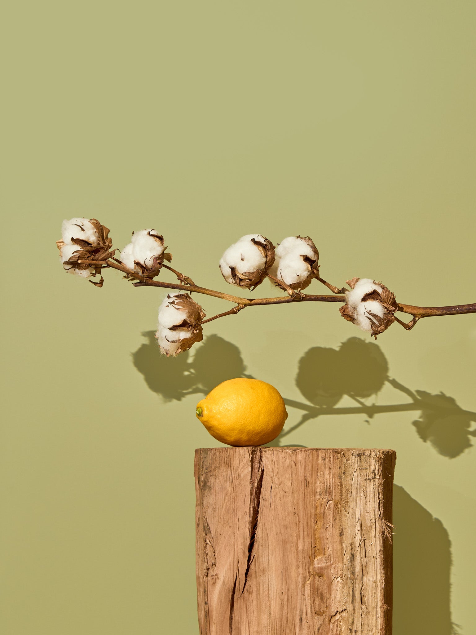 Fresh Cotton & Green Tea Fragrance Oil