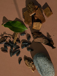 Huile parfumée Bois de Cachemire et Tonka