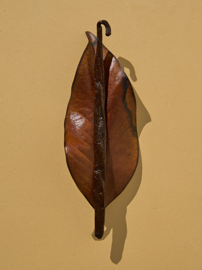 Tobacco & Vanilla Fragrance Oil