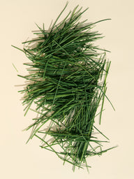 Fresh cut grass fragrance oil