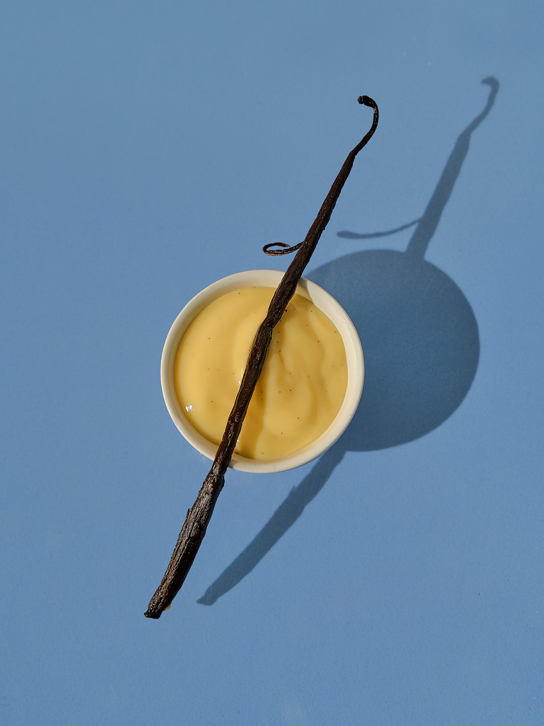 Vanilla Cream Fragrance Oil