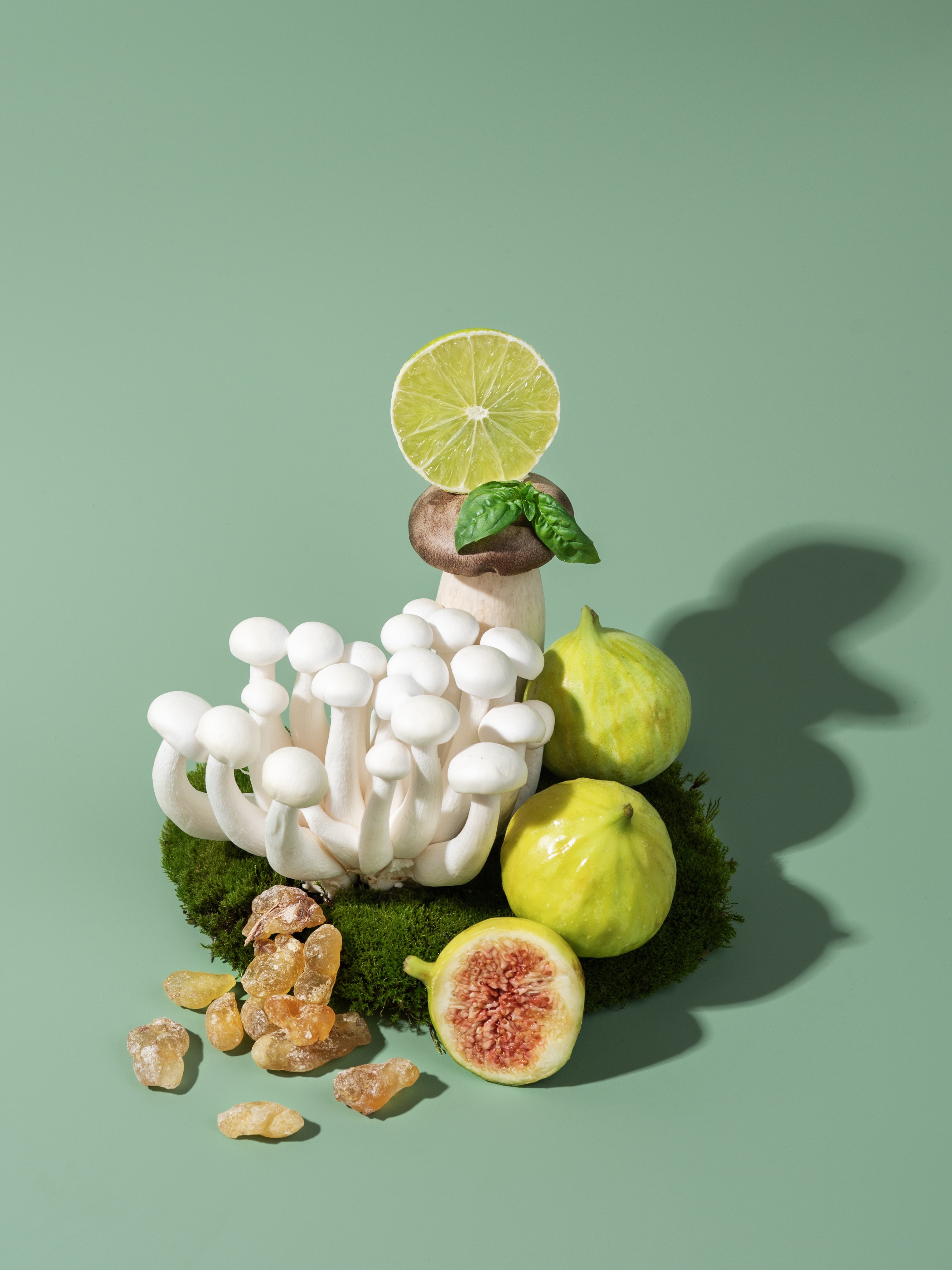 Green Fig and Wild Mushroom Fragrance Oil