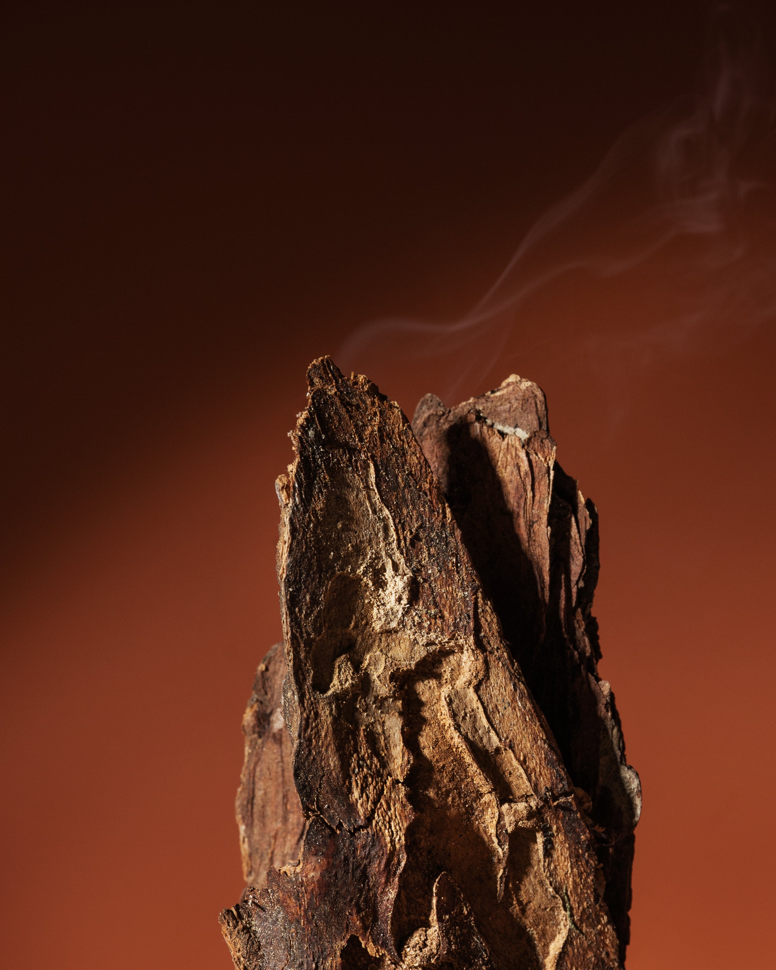Agarwood & Noble Incense Fragrance Oil