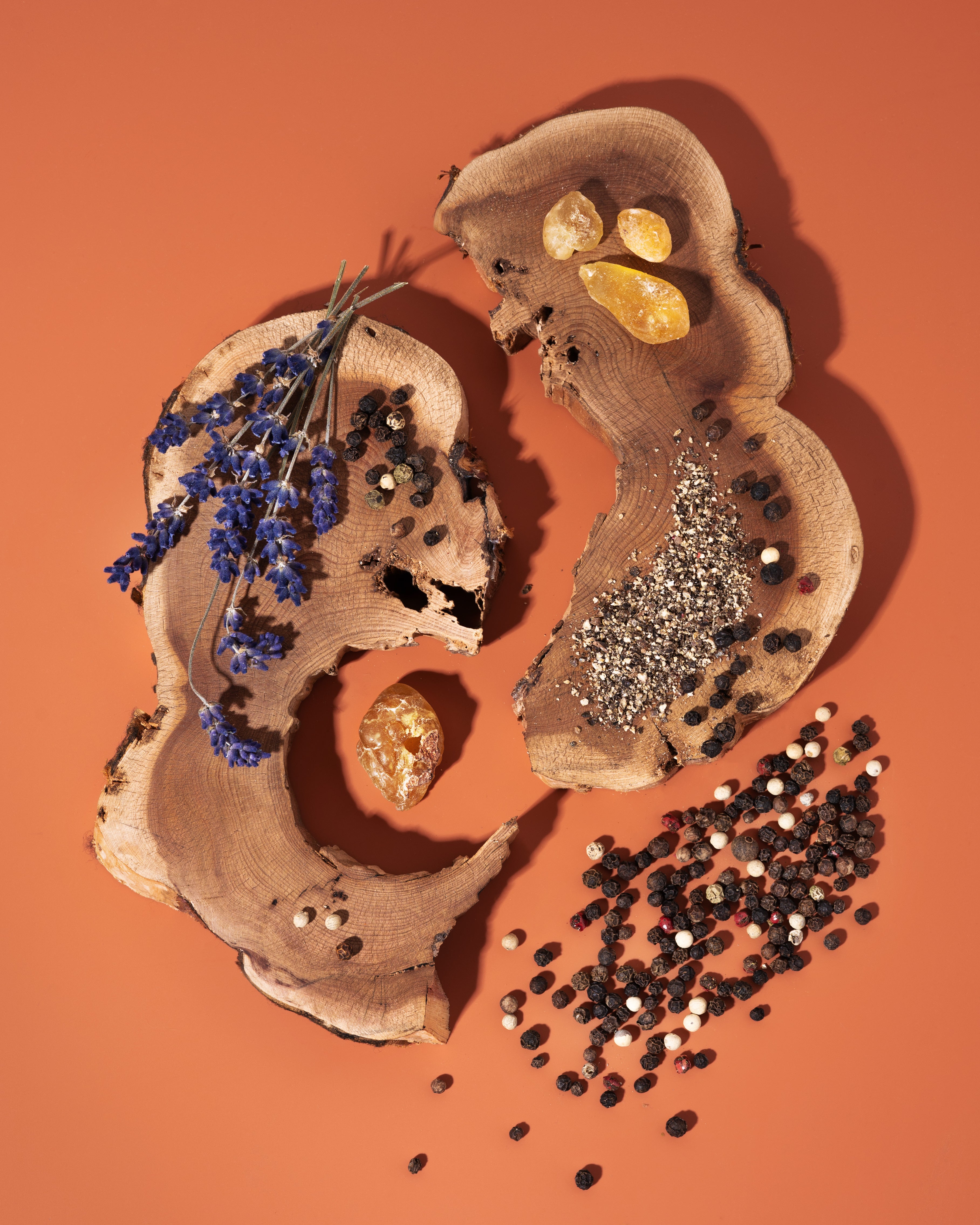 Modern Gentleman Fougère Fragrance Oil