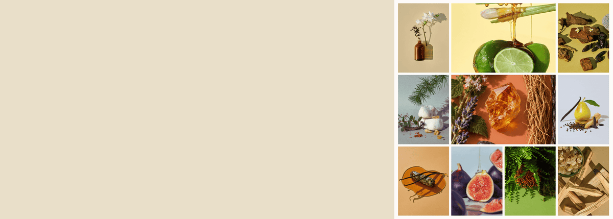 Seasonal fragrance oils sale