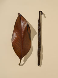 Tabaco & Baunilha