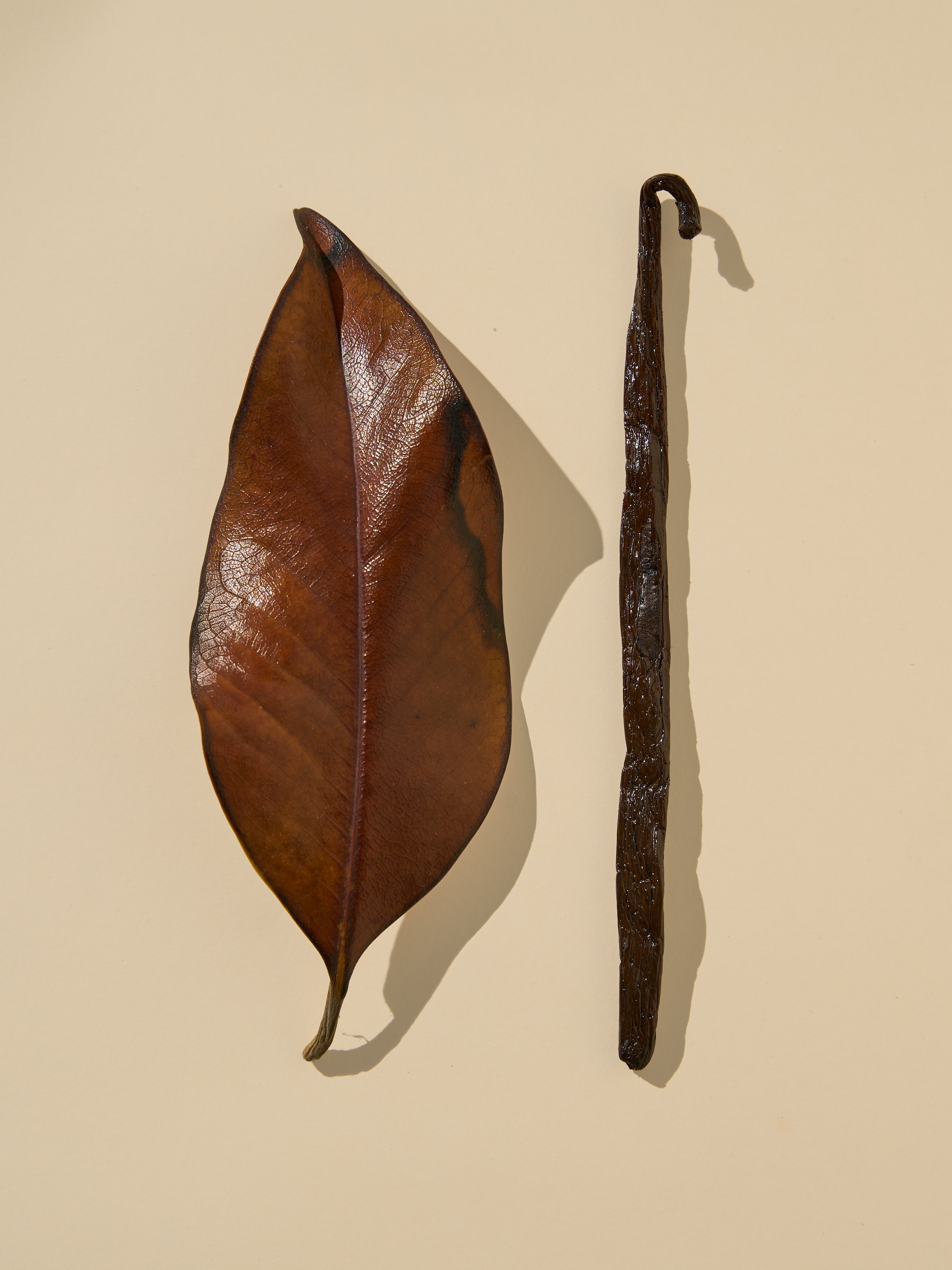 Tobacco & Vanilla Fragrance Oil
