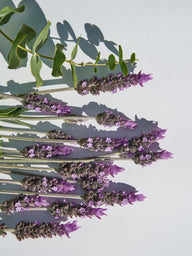 Lavender & Peppermint Fragrance Oil