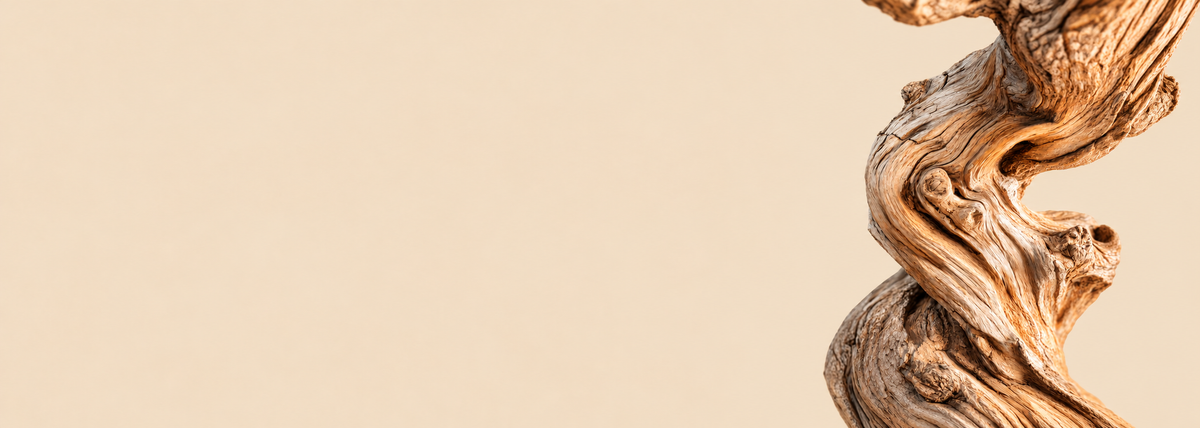 Flowing sandalwood on a warm ivory background — Satin Sandalwood fragrance oil